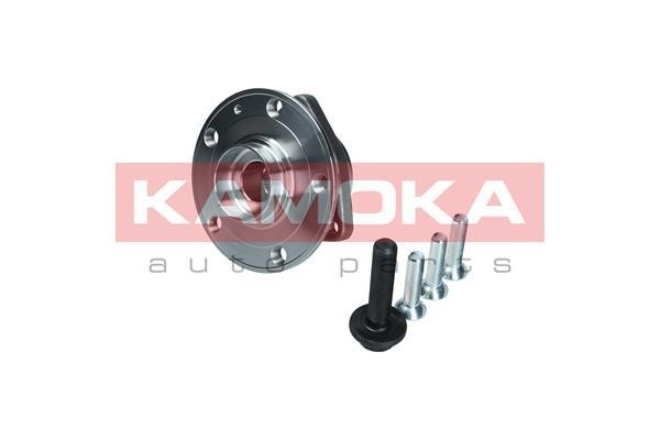 Kamoka 5500171 Wheel hub with front bearing 5500171