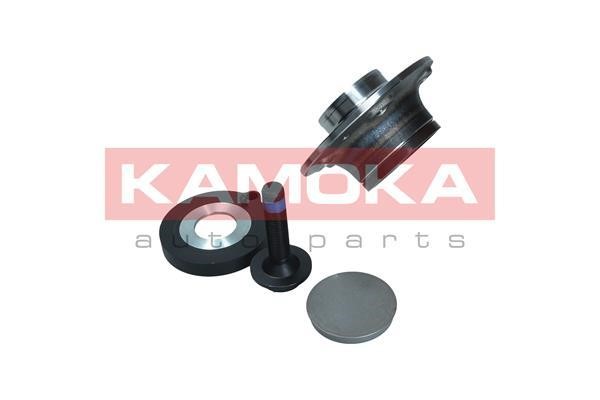Rear Wheel Bearing Kit Kamoka 5500172