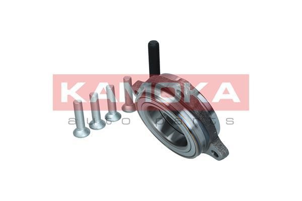 Front Wheel Bearing Kit Kamoka 5500174