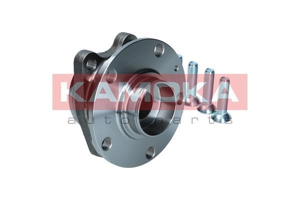 Rear wheel hub Kamoka 5500175