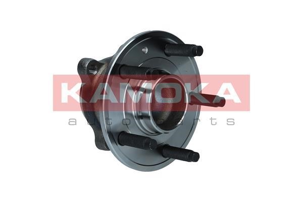 Kamoka 5500193 Wheel hub with rear bearing 5500193