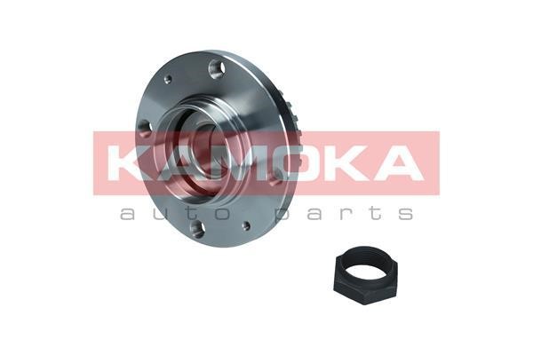 Kamoka 5500205 Rear Wheel Bearing Kit 5500205