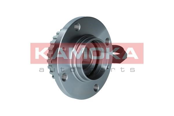 Rear Wheel Bearing Kit Kamoka 5500205