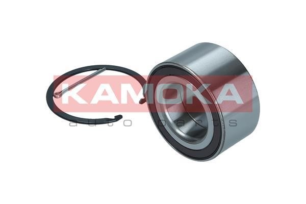 Front Wheel Bearing Kit Kamoka 5600113