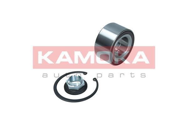 Front Wheel Bearing Kit Kamoka 5600146