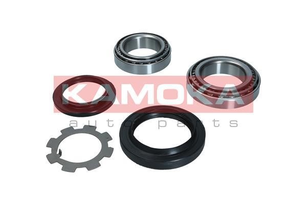 Rear Wheel Bearing Kit Kamoka 5600151