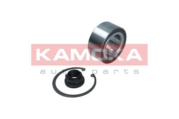 Front Wheel Bearing Kit Kamoka 5600154
