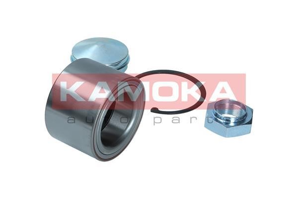 Front Wheel Bearing Kit Kamoka 5600126