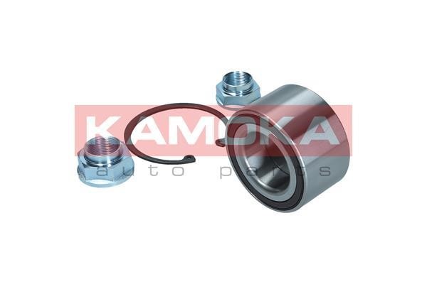 Front Wheel Bearing Kit Kamoka 5600156
