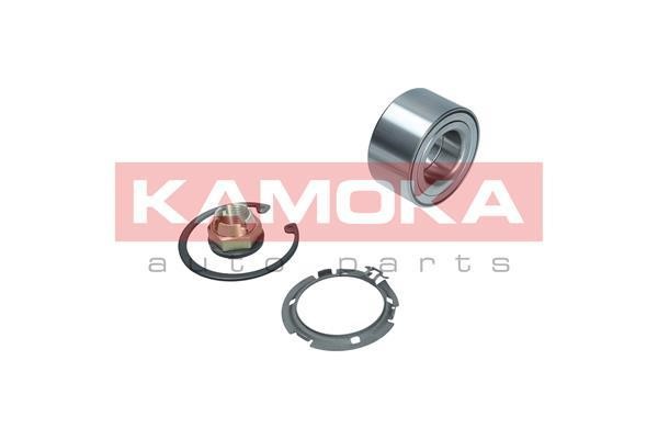 Front Wheel Bearing Kit Kamoka 5600132