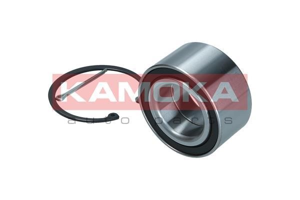 Rear Wheel Bearing Kit Kamoka 5600167