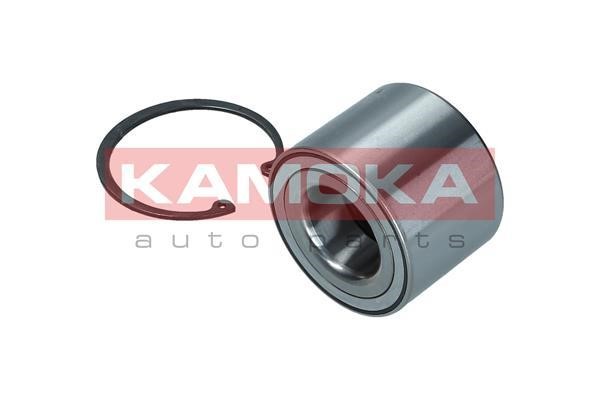 Front Wheel Bearing Kit Kamoka 5600171