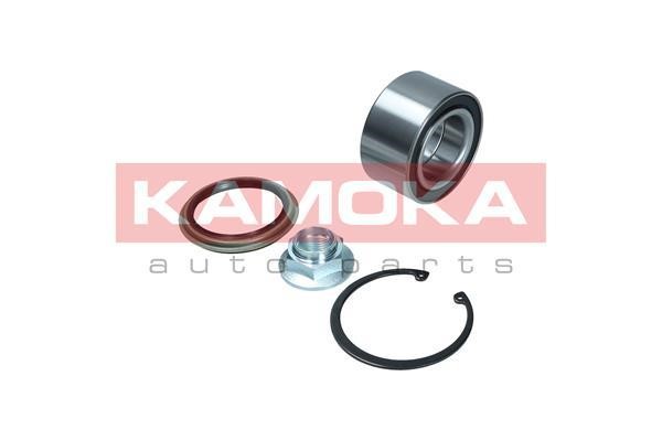 Front Wheel Bearing Kit Kamoka 5600174