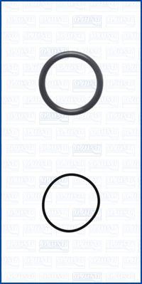 Ajusa 77024700 Turbine gaskets, kit 77024700