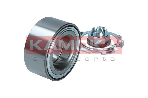 Front Wheel Bearing Kit Kamoka 5600212