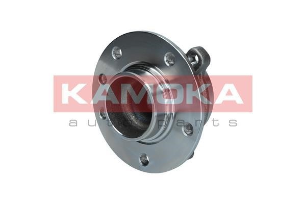 Rear Wheel Bearing Kit Kamoka 5500226