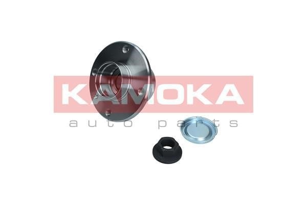 Wheel hub with rear bearing Kamoka 5500333