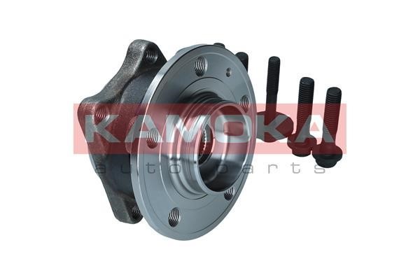 Rear wheel hub Kamoka 5500371