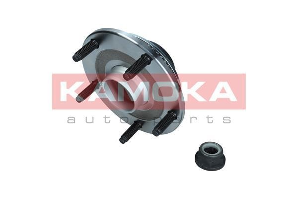 Kamoka 5500253 Wheel hub with rear bearing 5500253