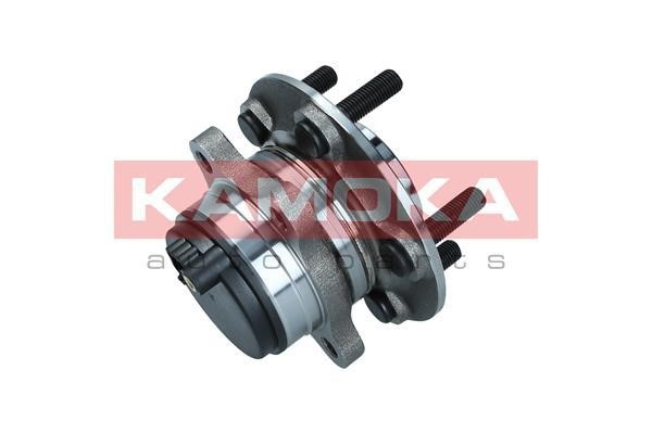 Rear wheel hub Kamoka 5500258