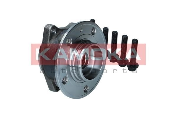 Wheel hub with rear bearing Kamoka 5500380
