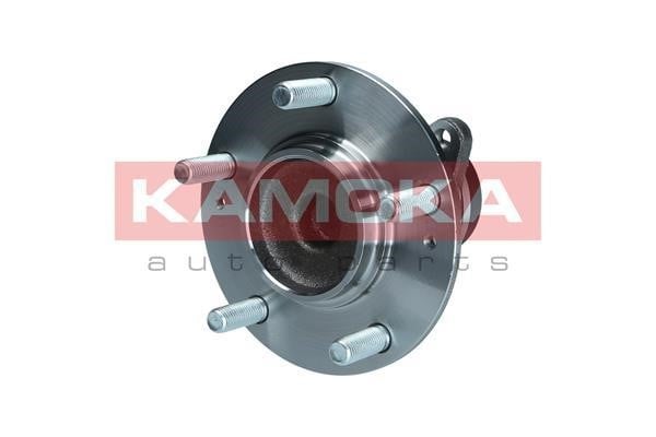 Kamoka 5500269 Wheel hub with rear bearing 5500269
