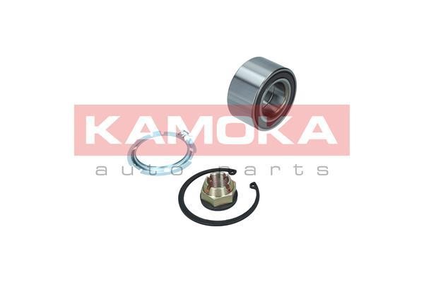 Front Wheel Bearing Kit Kamoka 5600098