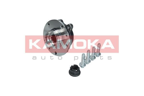 Kamoka 5500324 Wheel hub with front bearing 5500324