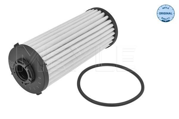 Gearbox filter Cupra Ateca: 1001361011 Meyle Automatic transmission filter