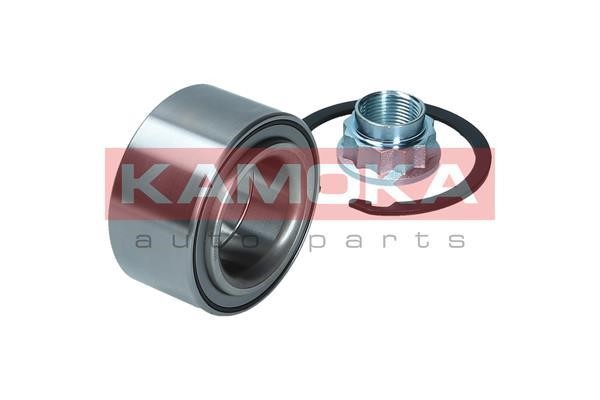Front Wheel Bearing Kit Kamoka 5600226