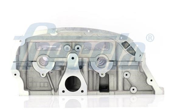 Cylinder Head Freccia CH17-1011