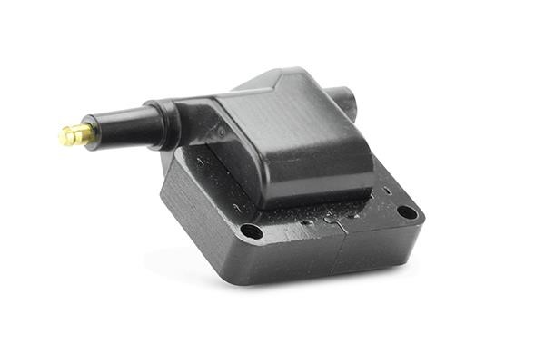 Engine coil pack Jeep Grand Cherokee: 155287 EFI AUTOMOTIVE Ignition coil