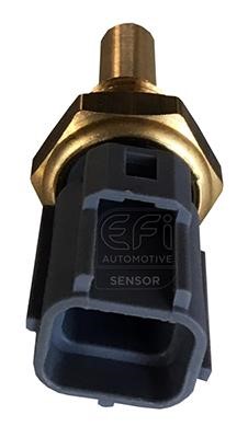 EFI AUTOMOTIVE 295052 Sensor, coolant temperature 295052