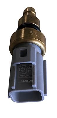 EFI AUTOMOTIVE 295155 Sensor, coolant temperature 295155