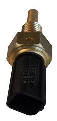 EFI AUTOMOTIVE 295089 Sensor, coolant temperature 295089