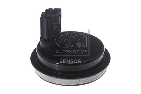 EFI AUTOMOTIVE 302431 Sensor, wheel speed 302431