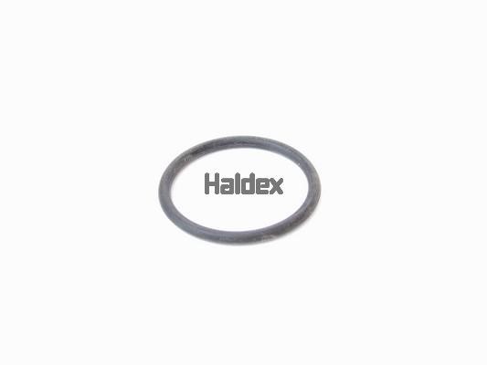 Haldex 024001709 O-Ring, cylinder sleeve 024001709