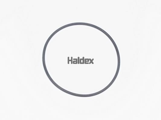 Haldex 024006109 O-Ring, cylinder sleeve 024006109
