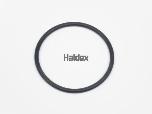Haldex 024006709 O-Ring, cylinder sleeve 024006709