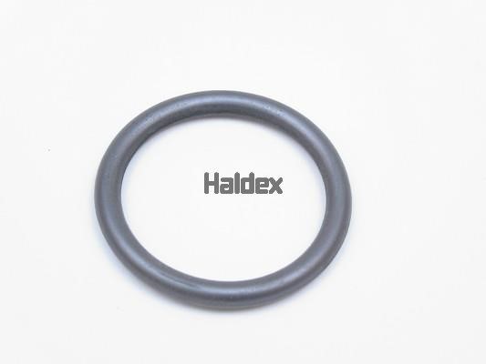 Haldex 024007409 O-Ring, cylinder sleeve 024007409