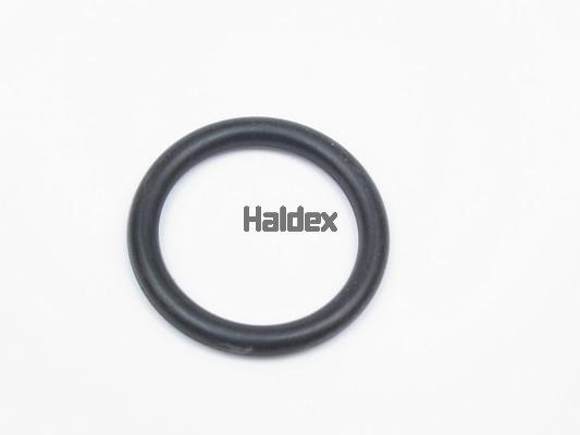 Haldex 024017209 O-Ring, cylinder sleeve 024017209
