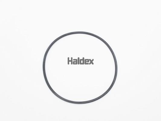 Haldex 024020909 O-Ring, cylinder sleeve 024020909