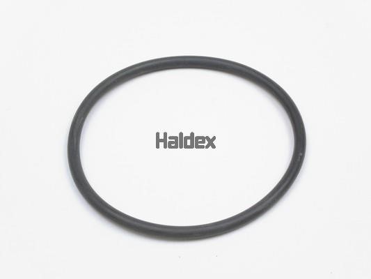 Haldex 024030109 O-Ring, cylinder sleeve 024030109