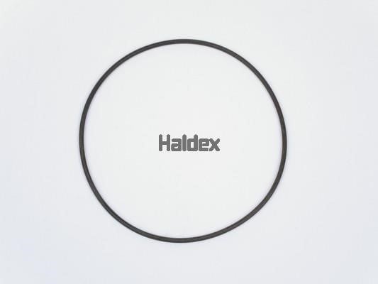 Haldex 024032809 O-Ring, cylinder sleeve 024032809