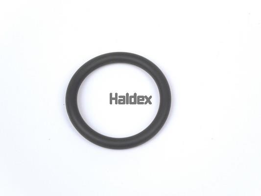 Haldex 024500309 O-Ring, cylinder sleeve 024500309