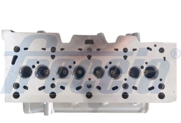 Cylinder Head Freccia CH17-1022