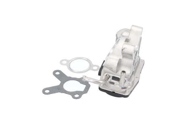 Kavo parts EGR Valve – price