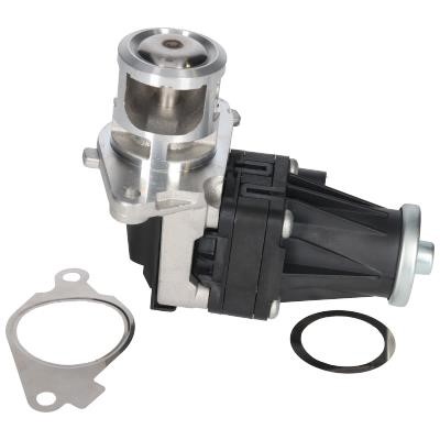 90106 Birth EGR Valve
