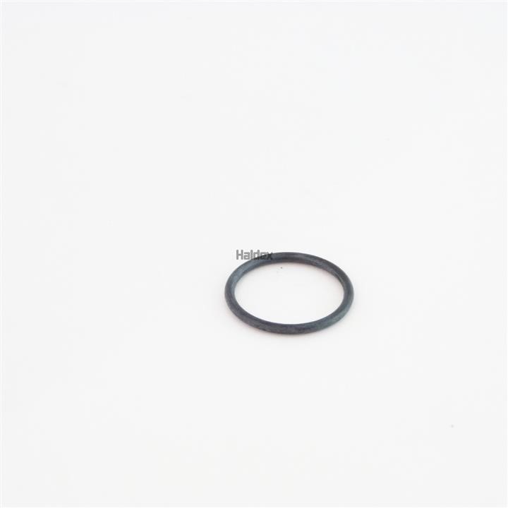 Haldex 024005009 O-Ring, cylinder sleeve 024005009