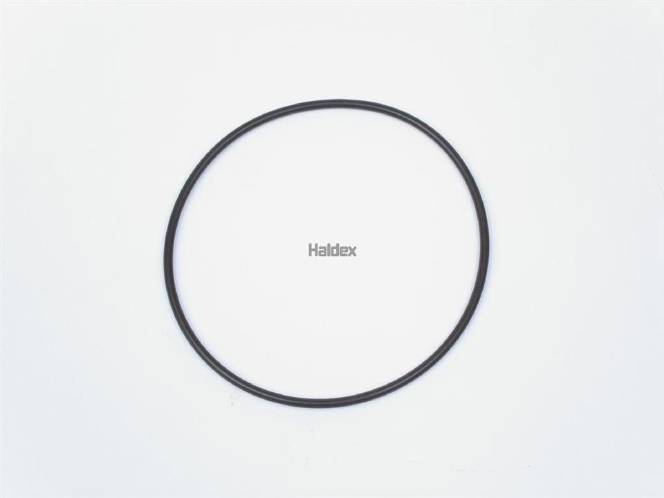 Haldex 024006909 O-Ring, cylinder sleeve 024006909